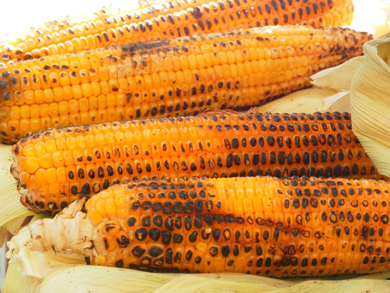 Przepis na grillowaną kukurydzę