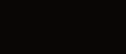 Noworoczne_promocje_6